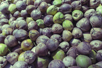 Fototapeta na wymiar Dry coconuts, Koh Phangan, Thailand