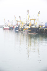 Fototapeta premium Trawlers on a misty morning in Newlyn Harbour, Cornwall, England, UK.
