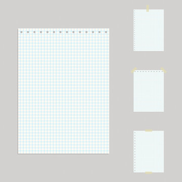 Exercise book in cage, vector image. Options.