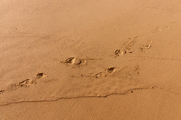 Footprints in sand beach great for vacation adverts