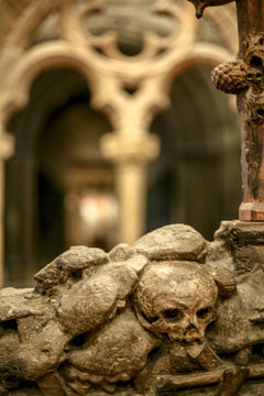 Skulls in cemetery Cript
