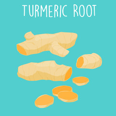 fresh turmeric root on white background vector