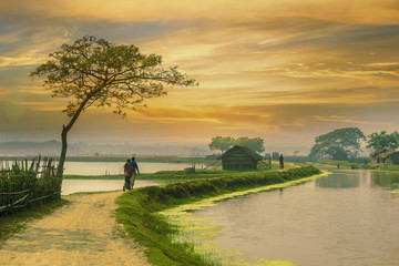 Village road of Bangladesh during sunset - obrazy, fototapety, plakaty