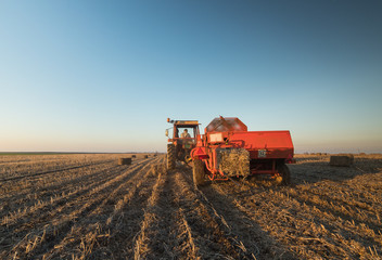 Naklejka premium Bale of soybean