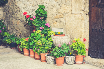 Fototapeta na wymiar Garden pots with plants