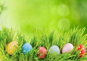 Row of Easter eggs in Fresh Green Grass