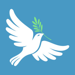 Obraz premium Silhouette of a flying dove with olive branch. White pigeon