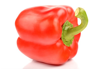 Red pepper on white background