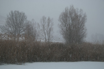 Tempesta di neve con fiocchi giganti sul lago di Colfiorito