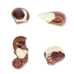 Pack, set or collection of belgian bonbons shaped as seashells isolated on white background