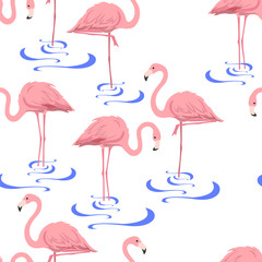 Naklejka premium pink flamingo in the water