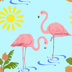 a pair of flamingos in the water