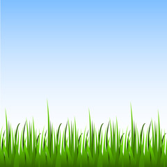 Seamless green grass with blue sky horizontal vector background.