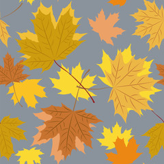Fototapeta na wymiar Seamless pattern with autumn maple leaf on a gray background.