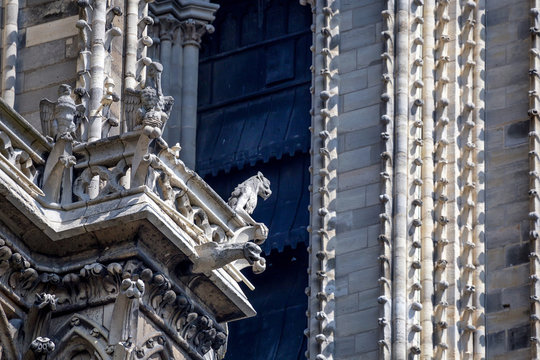 Gargoyles of Notre-Dame de Paris