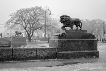 Foggy Petersburg, statue of a lion at the Admiralty embankment, St Petersburg, Russia