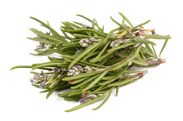 Rosemary on a white background