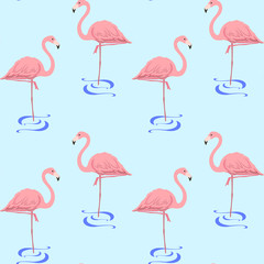 Obraz premium flamingo in the water
