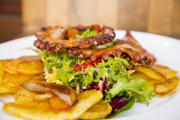 Colorful and tasty octopus salad