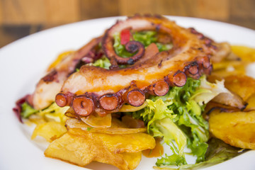 Colorful and tasty octopus salad