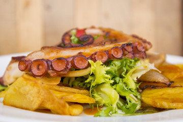 Colorful and tasty octopus salad