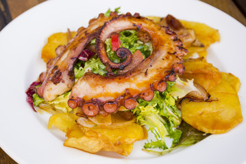 Colorful and tasty octopus salad