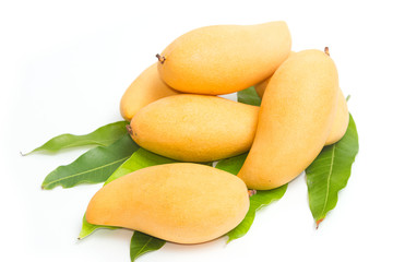 Yellow mango, isolated on a white background
