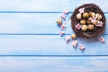Decorative Easter eggs  in nest and tender pink flowers