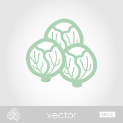 Brussels sprouts outline icon. Vegetable vector