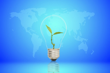 light bulb and tree on blue map background