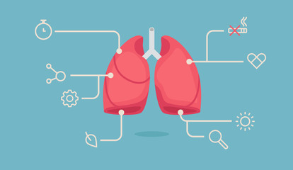 Lungs vector illustration