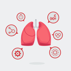 Lungs vector illustration