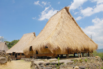Wologai - a  villages in the Ende district with well-maintained houses built in the traditional Lionese architectural style.   © robnaw