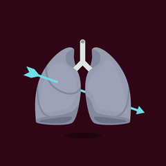 Lungs vector illustration