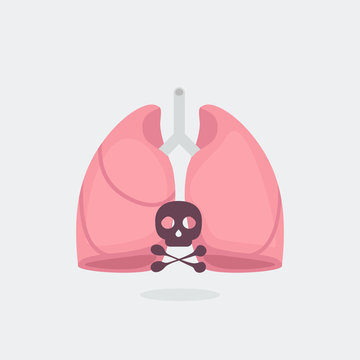 Lungs vector illustration
