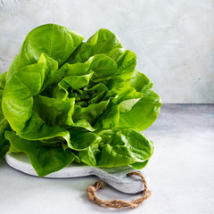 Head of fresh organic lettuce salad on marble cutting board on light gray stone background. Healthy food concept with copy space.