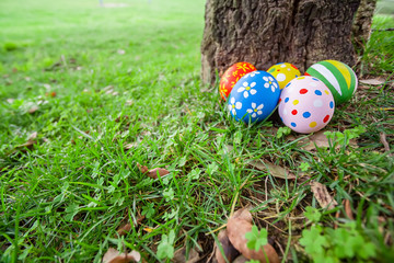 Painted Easter eggs hidden on the grass behind a tree trunk, ready for the easter egg hunt...