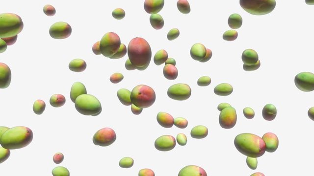 Looping animation featuring a field of mangoes in an empty white space.