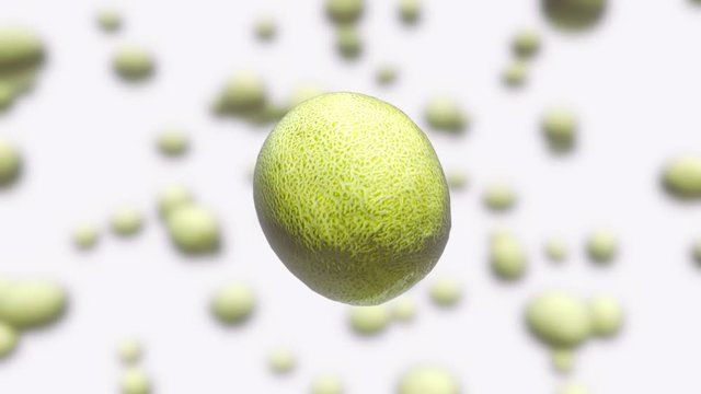 Melon floating in space against an out of focus white background.
