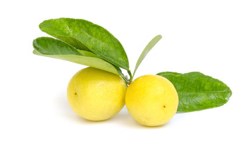 Fresh ripened yellow lemons with green leaves