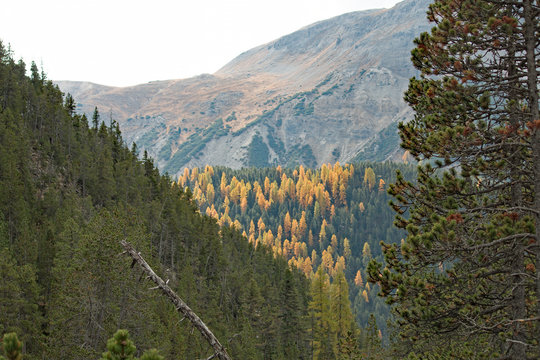 Naturpark