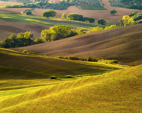 Autumn in the Tuscan fields © Mike Mareen