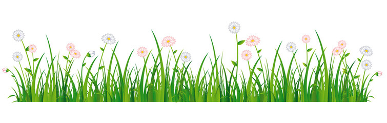 Beautiful daisy meadow banner