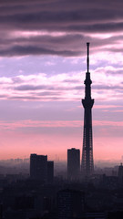 Fototapeta na wymiar Tokyo Sky tree silhouette building.