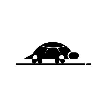 Turtle vector icon