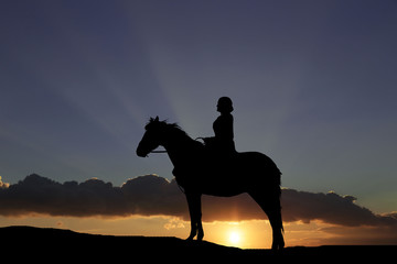 silhouette of a horse and the girl against the backdrop of a beautiful sunset