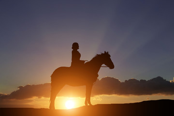 silhouette of a horse and the girl against the backdrop of a beautiful sunset