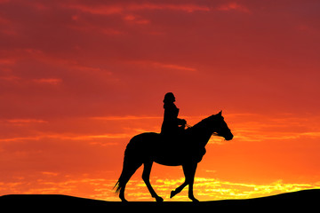 silhouette of a horse and the girl against the backdrop of a beautiful sunset