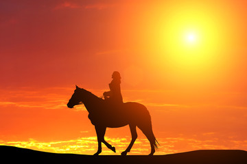 silhouette of a horse and the girl against the backdrop of a beautiful sunset