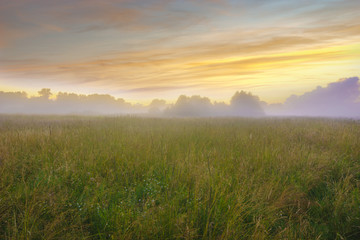 Obraz na płótnie Canvas beautiful, colorful morning on a spring meadow